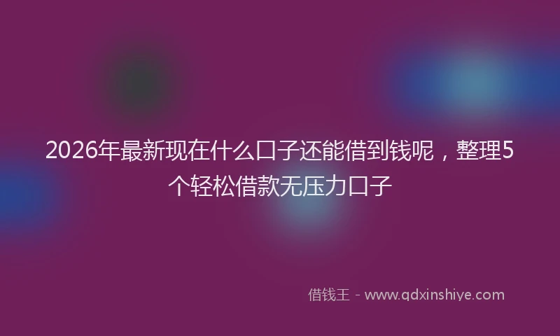 2026年最新现在什么口子还能借到钱呢，整理5个轻松借款无压力口子