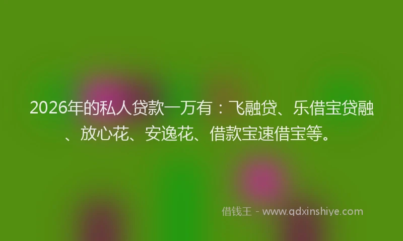 2026年的私人贷款一万有：飞融贷、乐借宝贷融、放心花、安逸花、借款宝速借宝等。