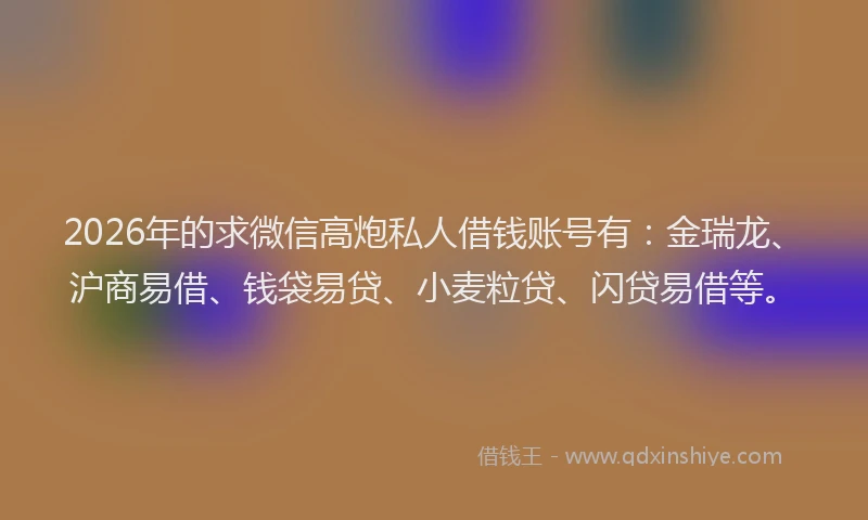 2026年的求微信高炮私人借钱账号有：金瑞龙、沪商易借、钱袋易贷、小麦粒贷、闪贷易借等。