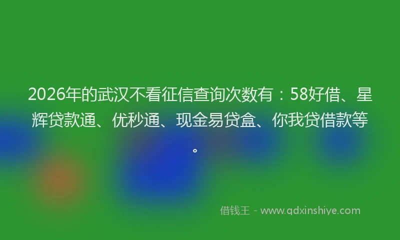 2026年的武汉不看征信查询次数有：58好借、星辉贷款通、优秒通、现金易贷盒、你我贷借款等。