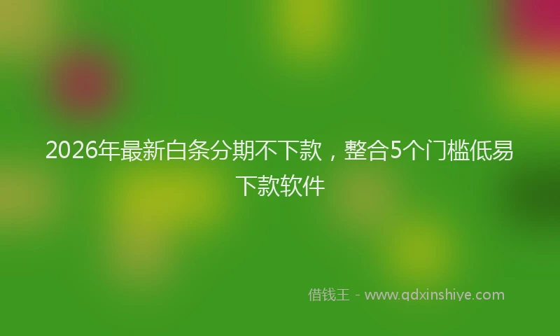 2026年最新白条分期不下款，整合5个门槛低易下款软件