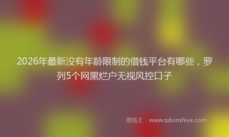 2026年最新没有年龄限制的借钱平台有哪些，罗列5个网黑烂户无视风控口子