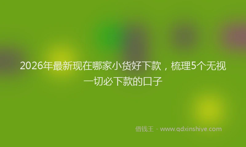 2026年最新现在哪家小货好下款，梳理5个无视一切必下款的口子