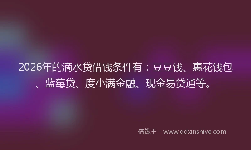2026年的滴水贷借钱条件有：豆豆钱、惠花钱包、蓝莓贷、度小满金融、现金易贷通等。