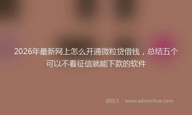 2026年最新网上怎么开通微粒贷借钱，总结五个可以不看征信就能下款的软件