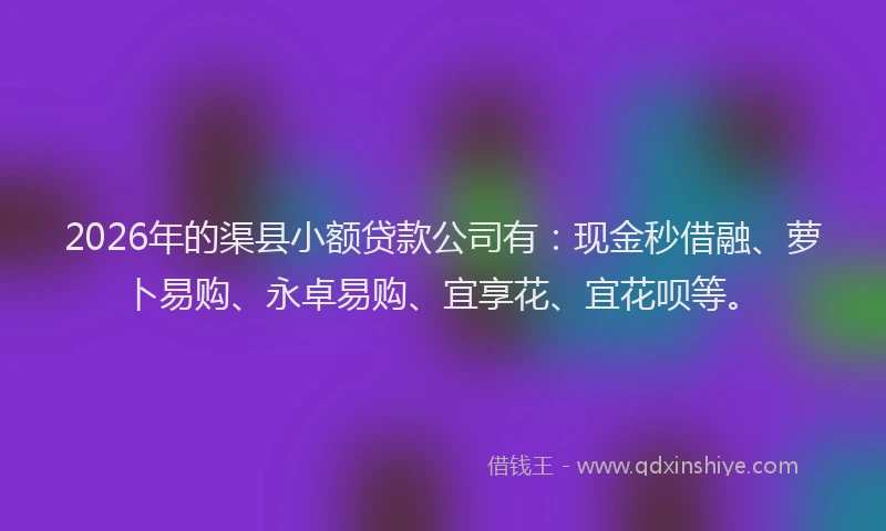 2026年的渠县小额贷款公司有：现金秒借融、萝卜易购、永卓易购、宜享花、宜花呗等。