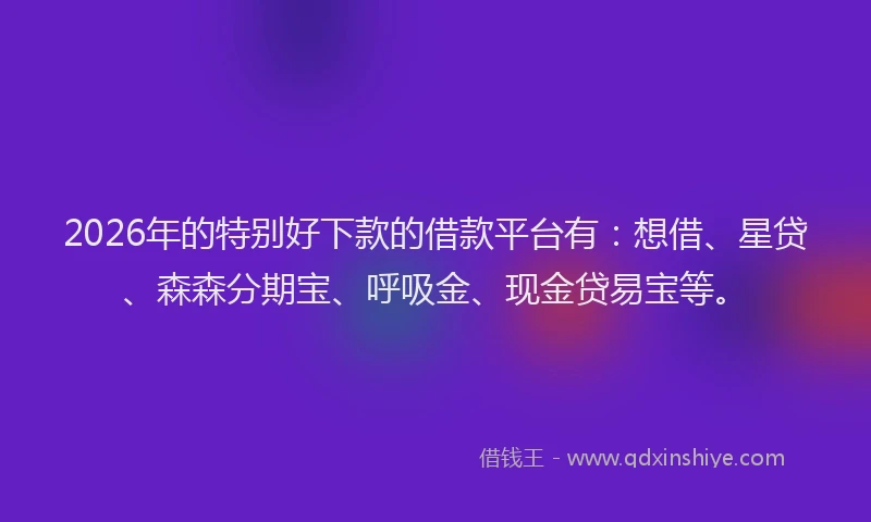2026年的特别好下款的借款平台有：想借、星贷、森森分期宝、呼吸金、现金贷易宝等。