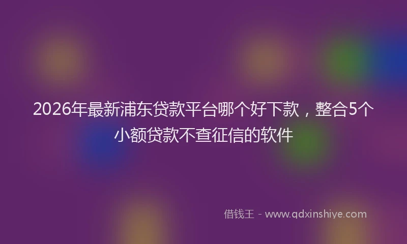 2026年最新浦东贷款平台哪个好下款，整合5个小额贷款不查征信的软件