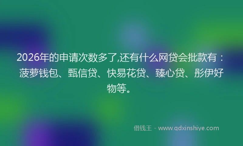 2026年的申请次数多了,还有什么网贷会批款有：菠萝钱包、甄信贷、快易花贷、臻心贷、彤伊好物等。