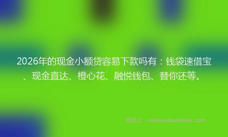 2026年的现金小额贷容易下款吗有：钱袋速借宝、现金直达、橙心花、融悦钱包、替你还等。