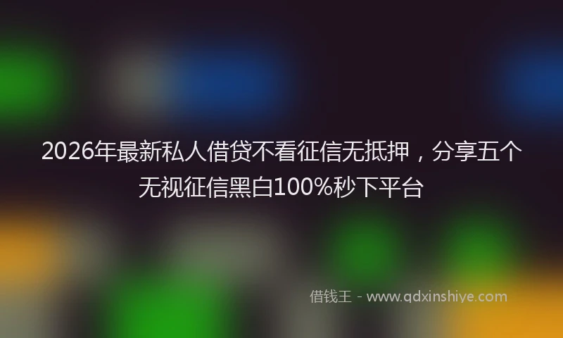 2026年最新私人借贷不看征信无抵押，分享五个无视征信黑白100%秒下平台