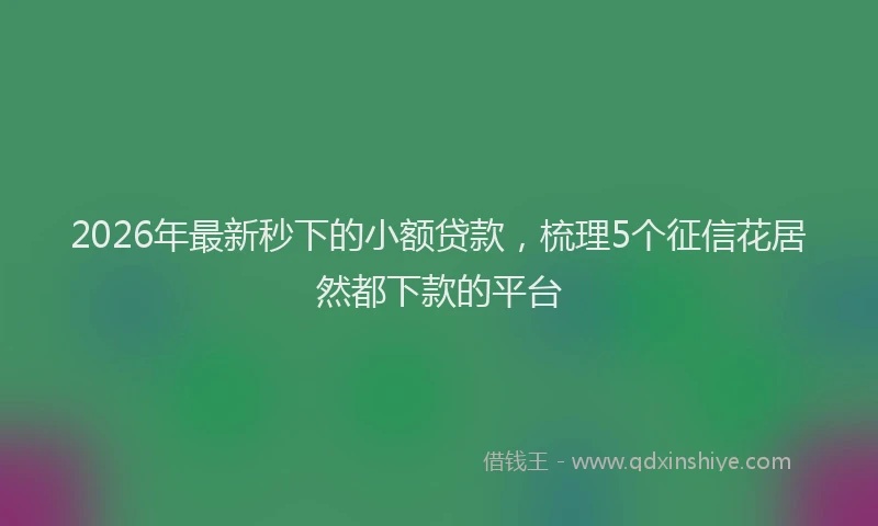 2026年最新秒下的小额贷款，梳理5个征信花居然都下款的平台
