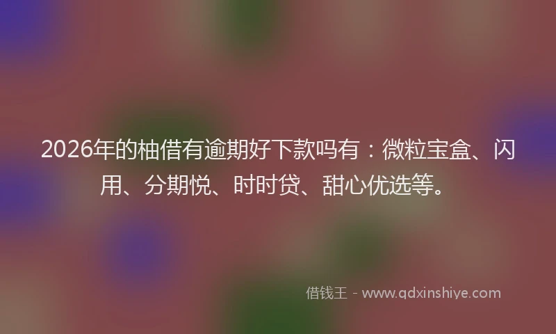 2026年的柚借有逾期好下款吗有：微粒宝盒、闪用、分期悦、时时贷、甜心优选等。
