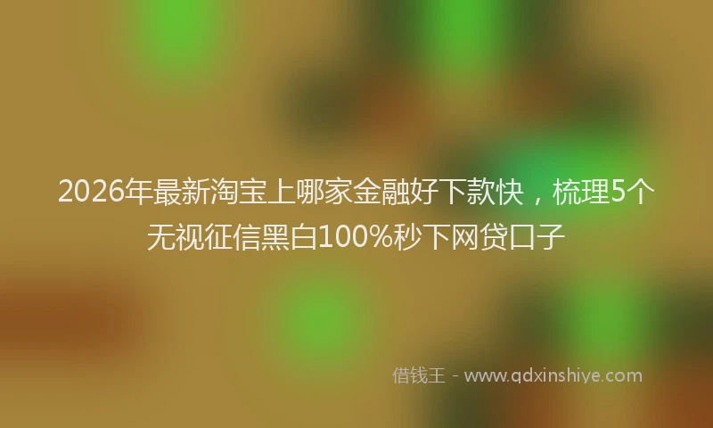 2026年最新淘宝上哪家金融好下款快，梳理5个无视征信黑白100%秒下网贷口子