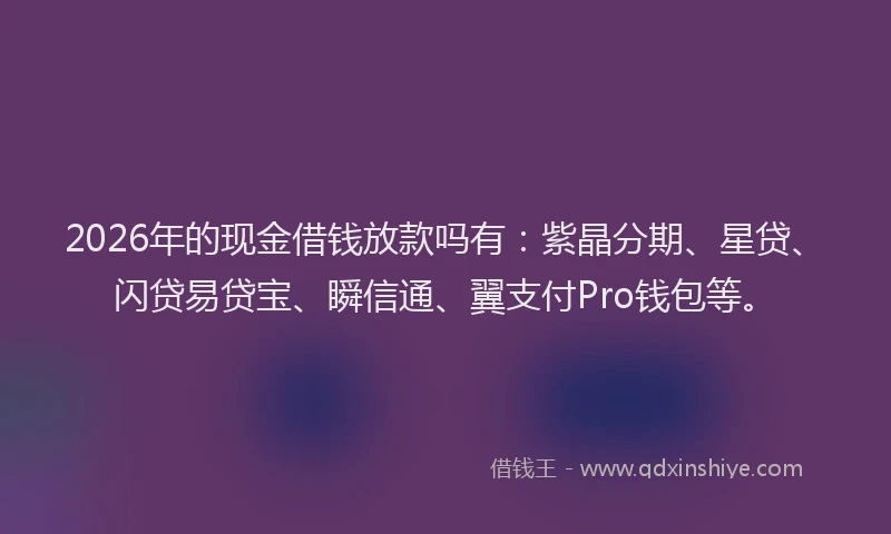 2026年的现金借钱放款吗有：紫晶分期、星贷、闪贷易贷宝、瞬信通、翼支付Pro钱包等。
