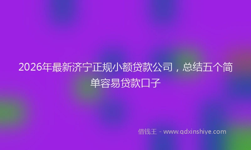 2026年最新济宁正规小额贷款公司，总结五个简单容易贷款口子