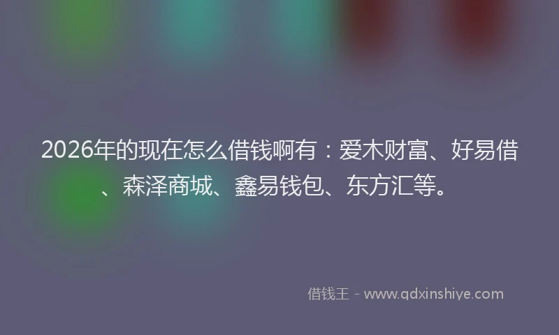 2026年的现在怎么借钱啊有：爱木财富、好易借、森泽商城、鑫易钱包、东方汇等。