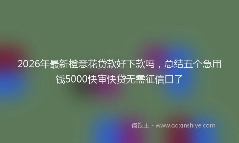 2026年最新橙意花贷款好下款吗，总结五个急用钱5000快审快贷无需征信口子