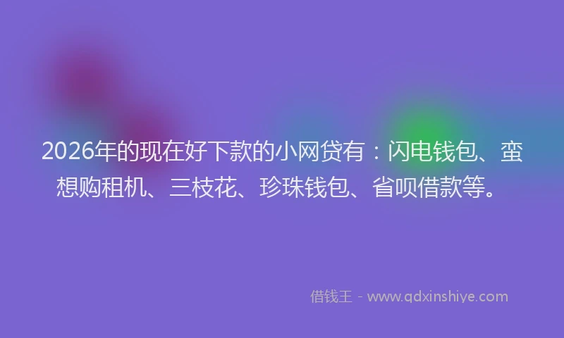 2026年的现在好下款的小网贷有：闪电钱包、蛮想购租机、三枝花、珍珠钱包、省呗借款等。
