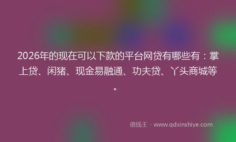 2026年的现在可以下款的平台网贷有哪些有：掌上贷、闲猪、现金易融通、功夫贷、丫头商城等。