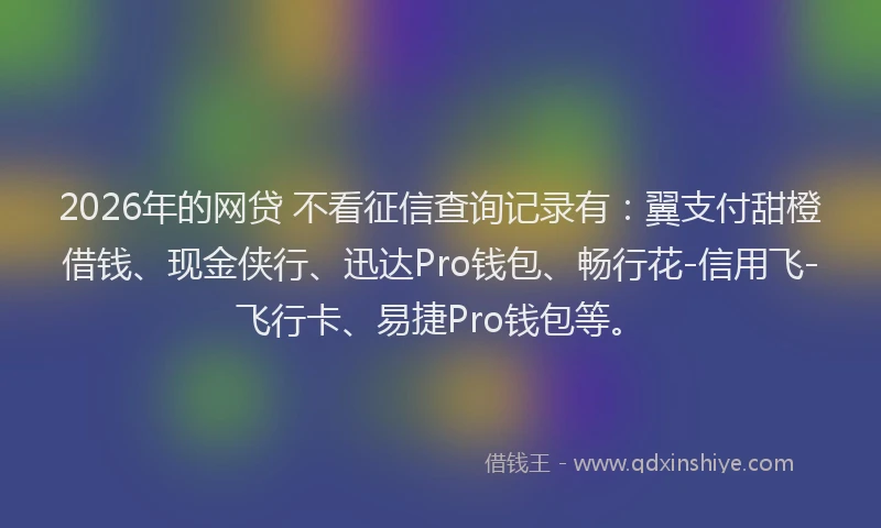 2026年的网贷 不看征信查询记录有：翼支付甜橙借钱、现金侠行、迅达Pro钱包、畅行花-信用飞-飞行卡、易捷Pro钱包等。