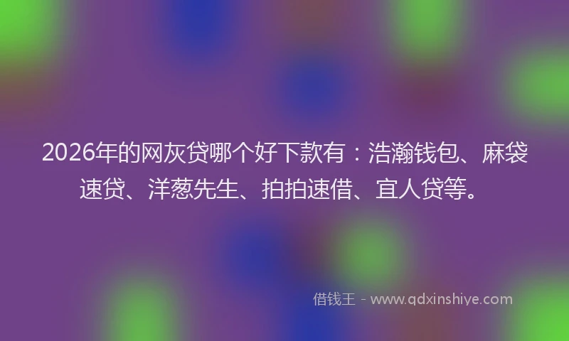 2026年的网灰贷哪个好下款有：浩瀚钱包、麻袋速贷、洋葱先生、拍拍速借、宜人贷等。
