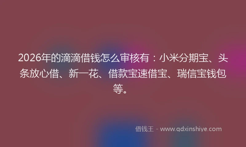 2026年的滴滴借钱怎么审核有：小米分期宝、头条放心借、新一花、借款宝速借宝、瑞信宝钱包等。
