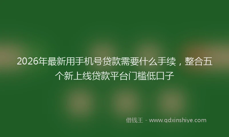2026年最新用手机号贷款需要什么手续，整合五个新上线贷款平台门槛低口子