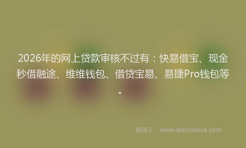 2026年的网上贷款审核不过有：快易借宝、现金秒借融途、维维钱包、借贷宝易、易捷Pro钱包等。