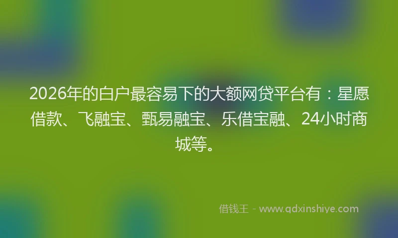 2026年的白户最容易下的大额网贷平台有：星愿借款、飞融宝、甄易融宝、乐借宝融、24小时商城等。