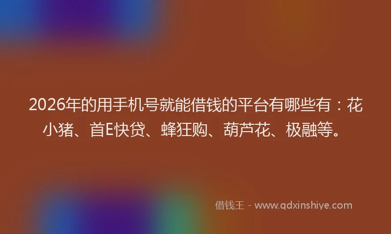 2026年的用手机号就能借钱的平台有哪些有：花小猪、首E快贷、蜂狂购、葫芦花、极融等。
