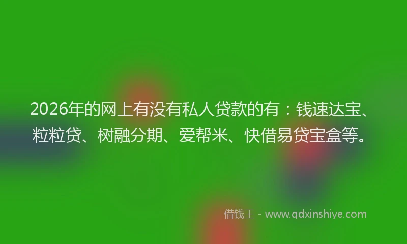 2026年的网上有没有私人贷款的有：钱速达宝、粒粒贷、树融分期、爱帮米、快借易贷宝盒等。