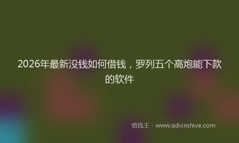 2026年最新没钱如何借钱，罗列五个高炮能下款的软件
