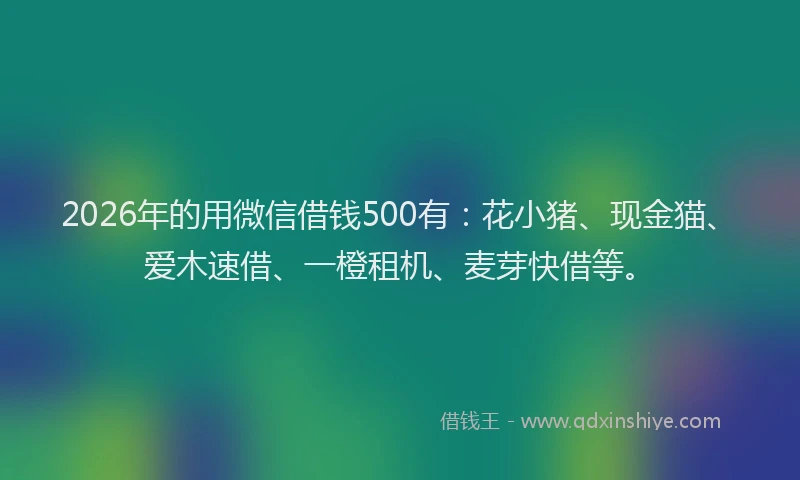 2026年的用微信借钱500有：花小猪、现金猫、爱木速借、一橙租机、麦芽快借等。