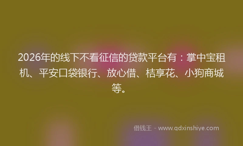 2026年的线下不看征信的贷款平台有：掌中宝租机、平安口袋银行、放心借、桔享花、小狗商城等。