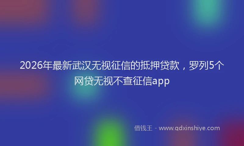 2026年最新武汉无视征信的抵押贷款，罗列5个网贷无视不查征信app