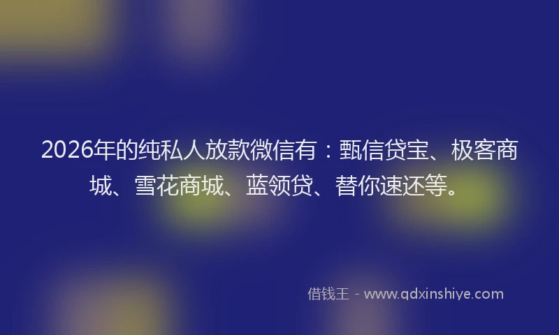 2026年的纯私人放款微信有：甄信贷宝、极客商城、雪花商城、蓝领贷、替你速还等。