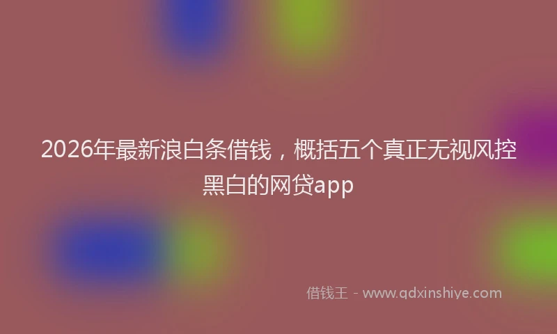 2026年最新浪白条借钱，概括五个真正无视风控黑白的网贷app