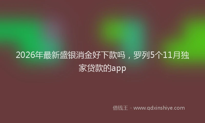 2026年最新盛银消金好下款吗，罗列5个11月独家贷款的app