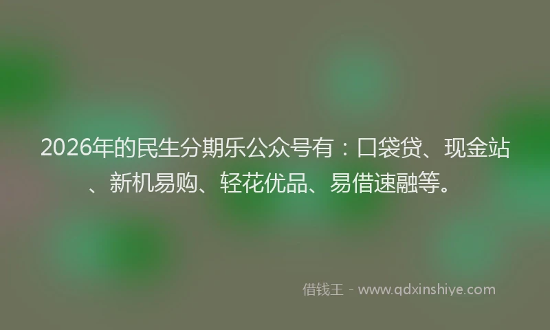 2026年的民生分期乐公众号有：口袋贷、现金站、新机易购、轻花优品、易借速融等。