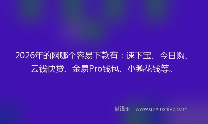 2026年的网哪个容易下款有：速下宝、今日购、云钱快贷、金易Pro钱包、小鹅花钱等。
