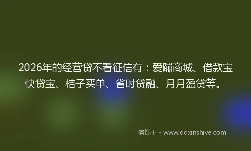 2026年的经营贷不看征信有：爱蹦商城、借款宝快贷宝、桔子买单、省时贷融、月月盈贷等。