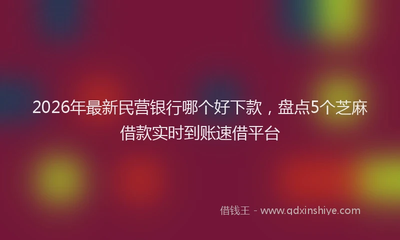 2026年最新民营银行哪个好下款，盘点5个芝麻借款实时到账速借平台