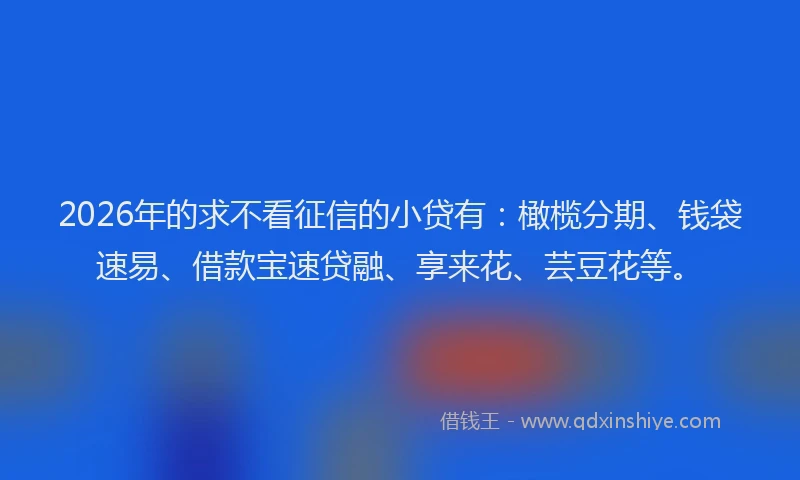 2026年的求不看征信的小贷有：橄榄分期、钱袋速易、借款宝速贷融、享来花、芸豆花等。