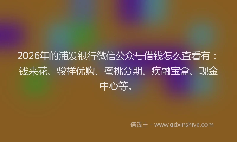 2026年的浦发银行微信公众号借钱怎么查看有：钱来花、骏祥优购、蜜桃分期、疾融宝盒、现金中心等。