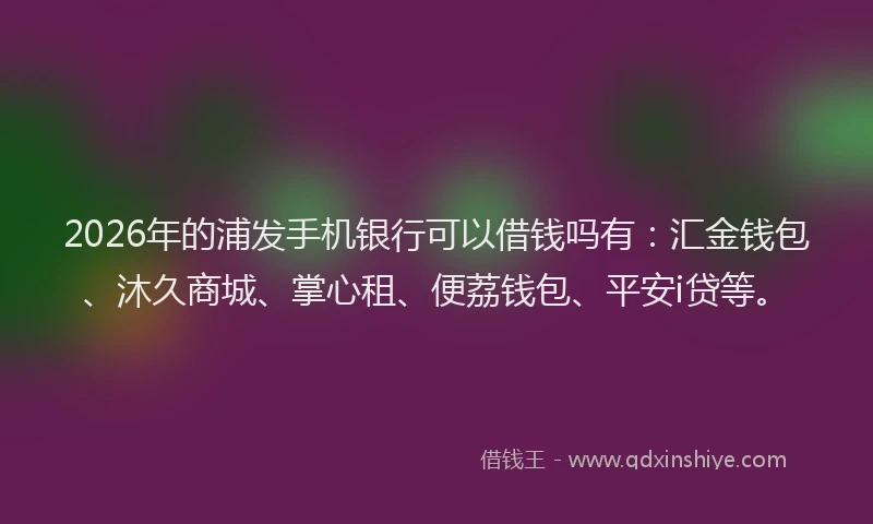 2026年的浦发手机银行可以借钱吗有：汇金钱包、沐久商城、掌心租、便荔钱包、平安i贷等。