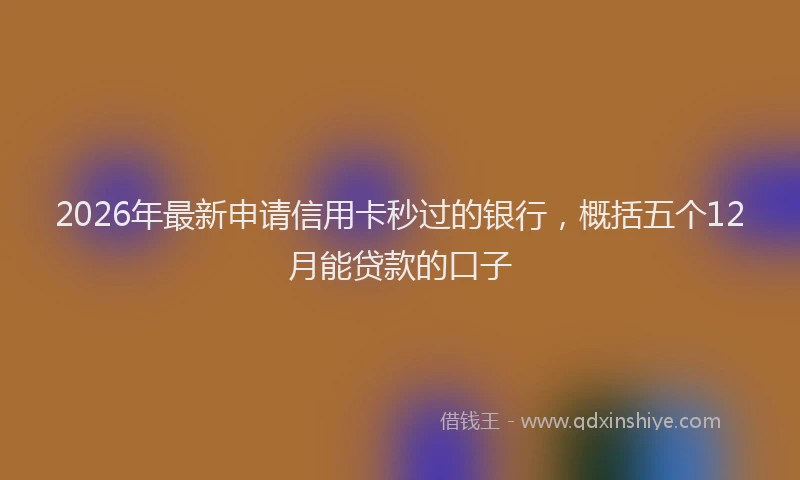 2026年最新申请信用卡秒过的银行，概括五个12月能贷款的口子