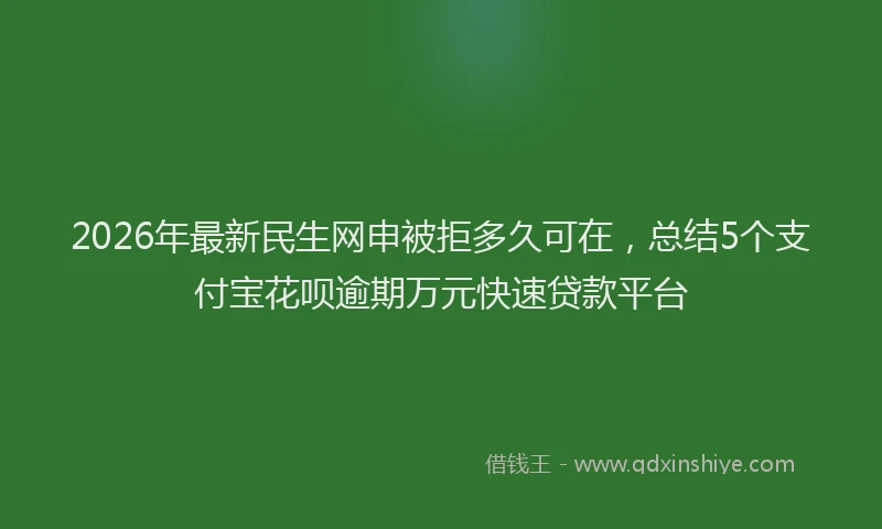 2026年最新民生网申被拒多久可在，总结5个支付宝花呗逾期万元快速贷款平台