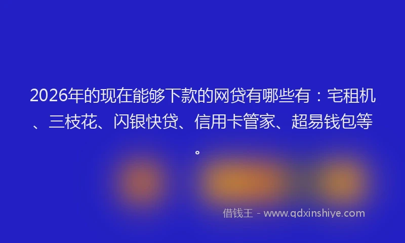 2026年的现在能够下款的网贷有哪些有：宅租机、三枝花、闪银快贷、信用卡管家、超易钱包等。