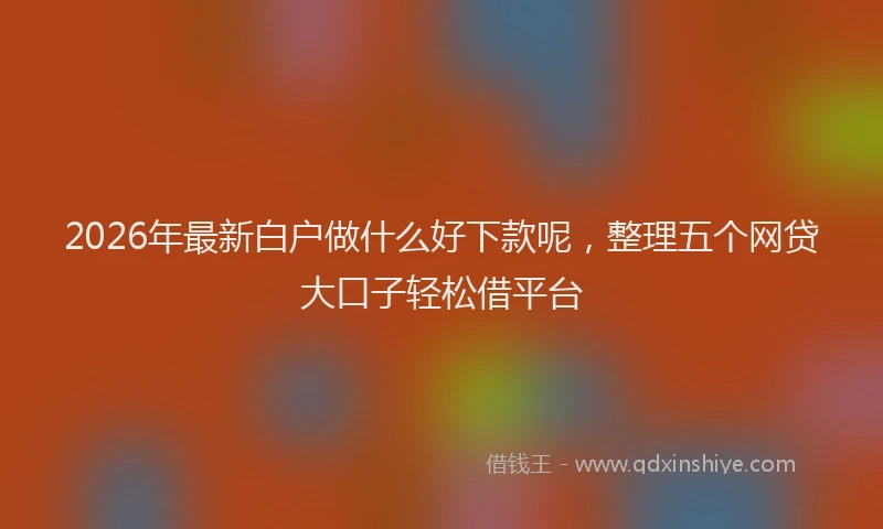 2026年最新白户做什么好下款呢，整理五个网贷大口子轻松借平台